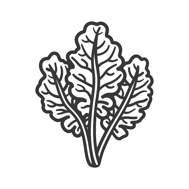 HandDrawn Illustration of a Bundle of Spinach Leaves