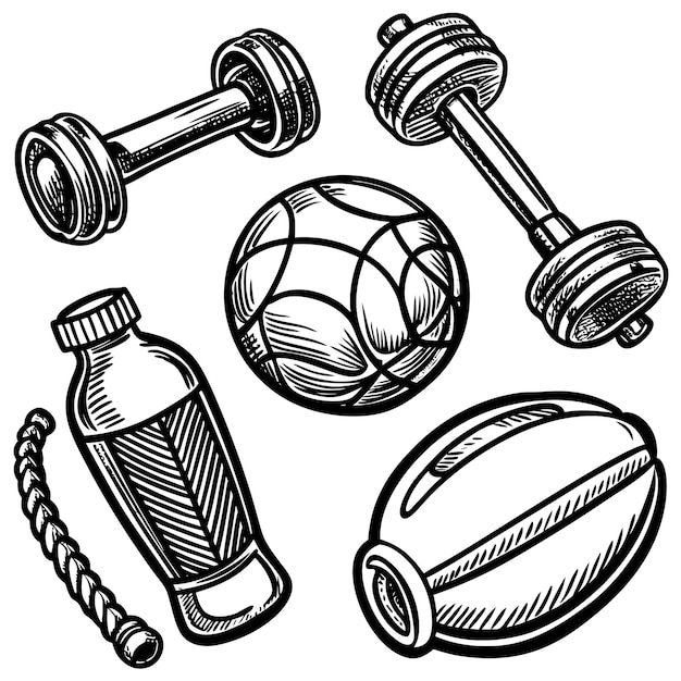 Vector handdrawn illustration of dumbbells a water bottle a rope a basketball and a medicine ball