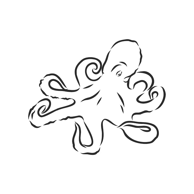 Handdrawn illustration octopus vector isolate on white background