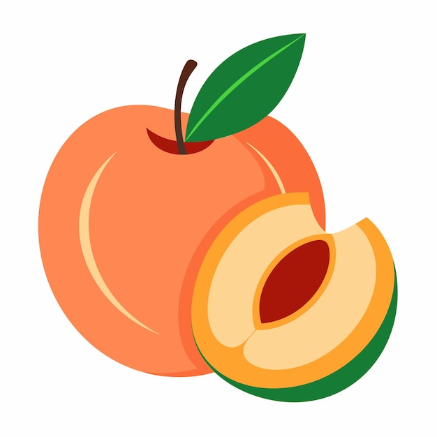 Vector handdrawn illustration of whole peach and slices