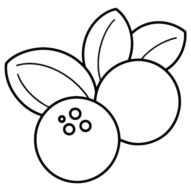 Vector handdrawn outline of a blueberry fruits