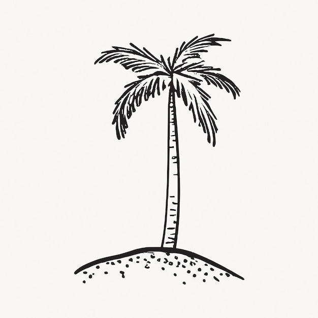 Vector handdrawn palm tree illustration