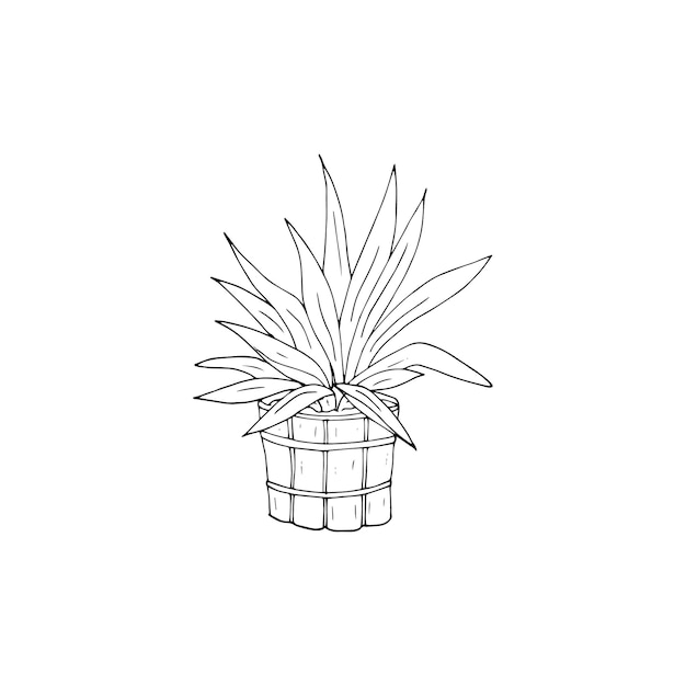 Handdrawn plant in a wooden pot Wooden pot and large green leaves An object for decoration