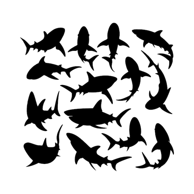 Vector handdrawn shark silhouette vector animal illustration