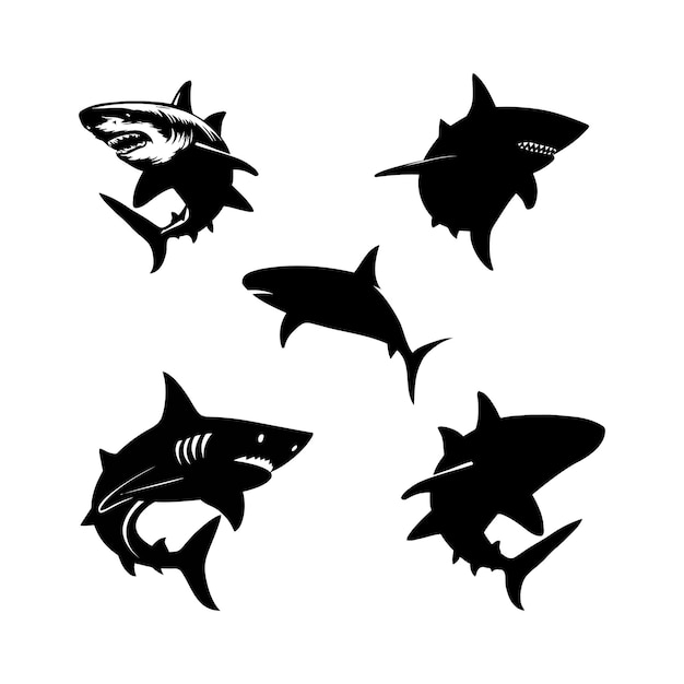 Vector handdrawn shark silhouette vector animal illustration