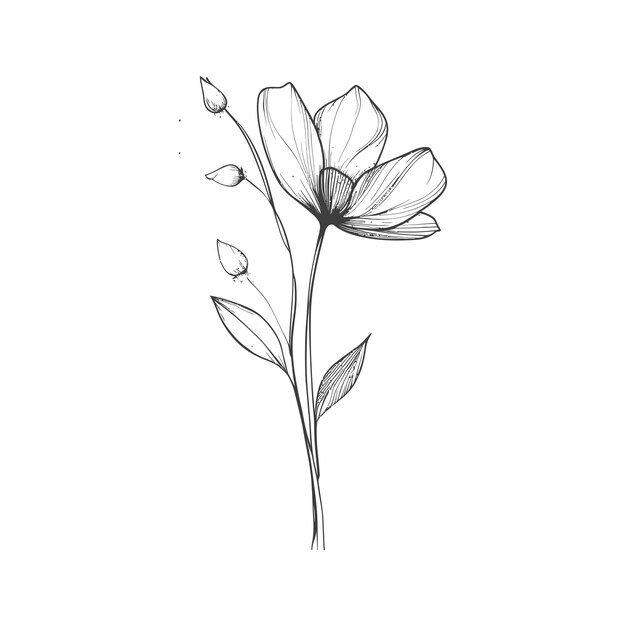 Vector handdrawn sketch of a single flower with buds and leaves