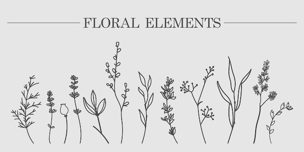 Handdrawn sketch of vector plant elements of laurels leaves flowers branches Suitable