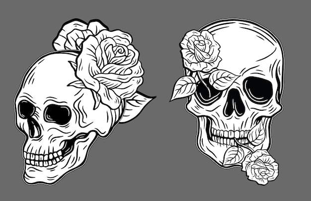 Vector handdrawn skull with rose