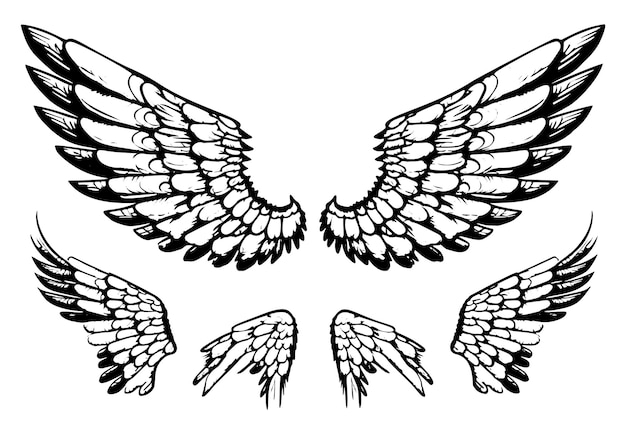 Handdrawn vector illustration collection of angel and bird wings sketches