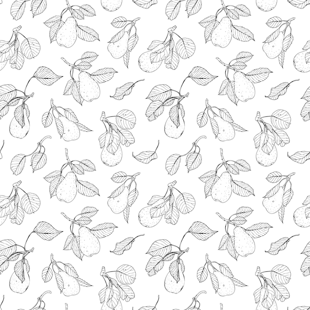 Handdrawn vector line pears with leaves and branches Summer fruits background Autumn harvest seamless pattern