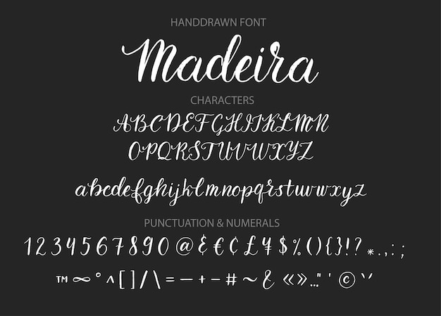 Handdrawn Vector Script font Brush style textured calligraphy cursive typeface