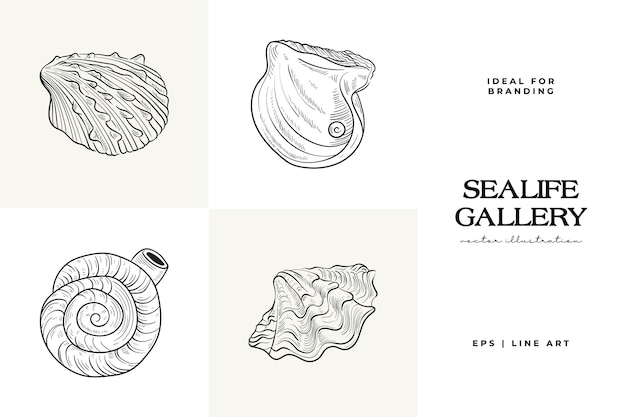 Handdrawn vector set featuring realistic sketches of various marine seashells starfish in black