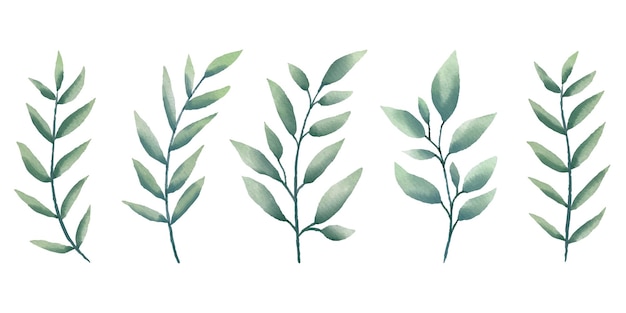 Handdrawn watercolor green leaf element collection vector set