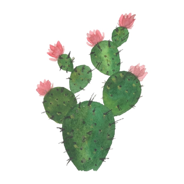 Handmade watercolor cactus art