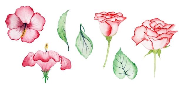 Handmade watercolor floral art