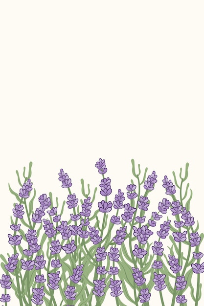 Handpainted blooming lavenderBackground with purple flowers at the bottom Modern painting