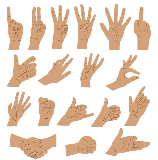 Hands and arms expressions Hands sign big set