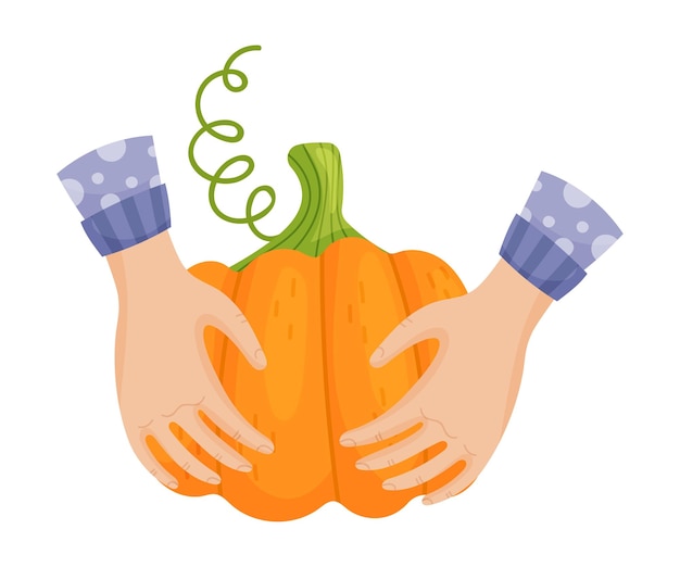 Hands in blue sleeves hold a large orange pumpkin Vector illustration on a white background