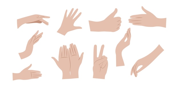 Hands gestures set Human hands with different gestures Vector illustration