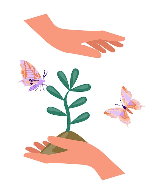 Hands with young plant concept