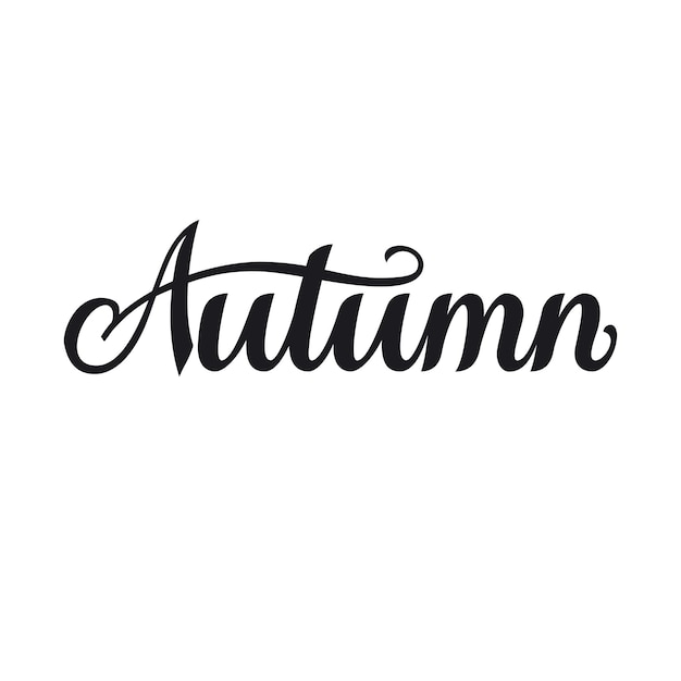 Handwriting Calligraphic Letter Autumn Hand drawn name of the season of the year with flourish Word for calendar bullet journal monthly organizer Isolated on a white background Vector phrase