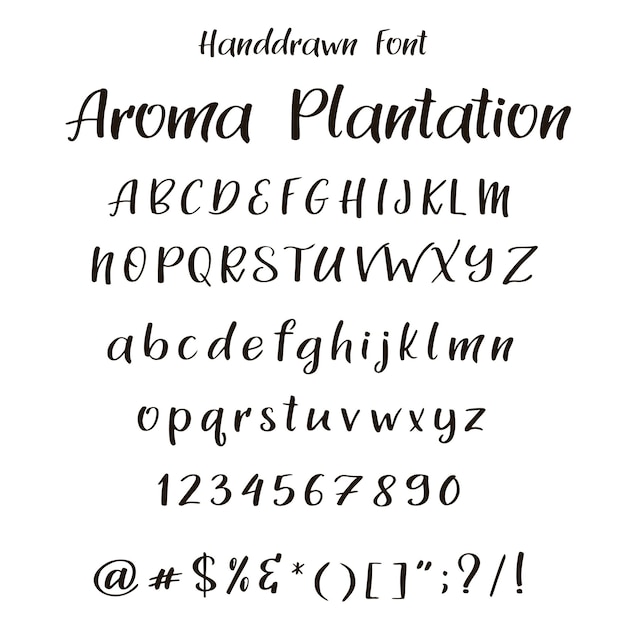 Handwritten calligraphy font Vector alphabet Hand drawn letters