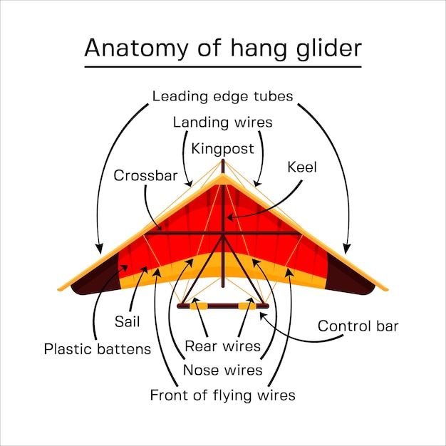 Hang glider anatomy vector flat style illustration