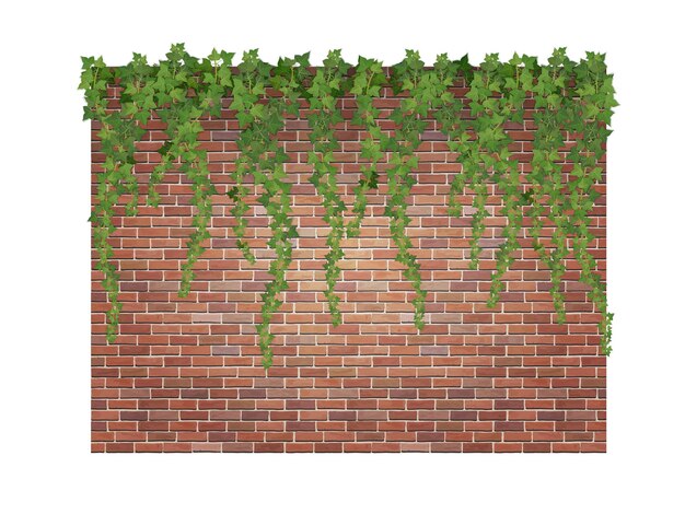 Vector hanging down ivy shoots on the brick wall background