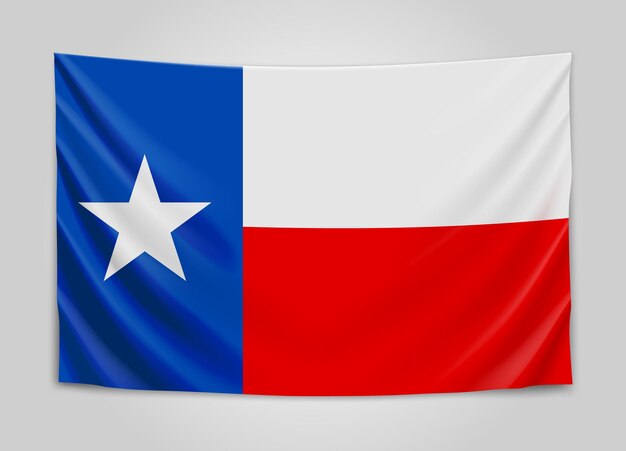 Vector hanging flag of texas