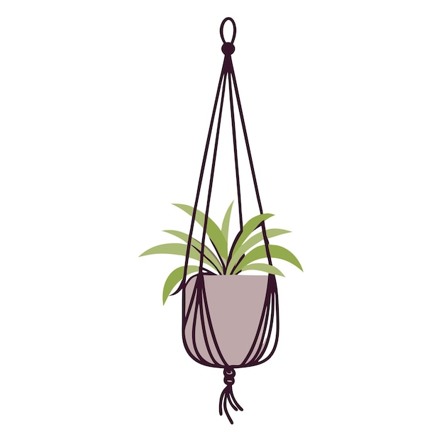 Hanging houseplant on rope color icon Home greenery on a isolated white background 9