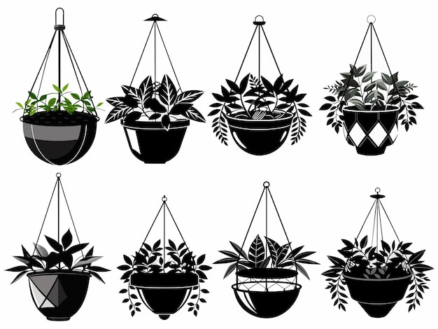 Hanging plant holder set