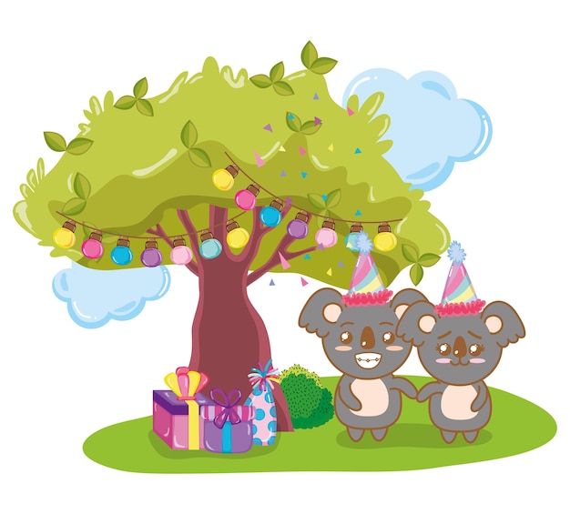 Happy birthday koalas