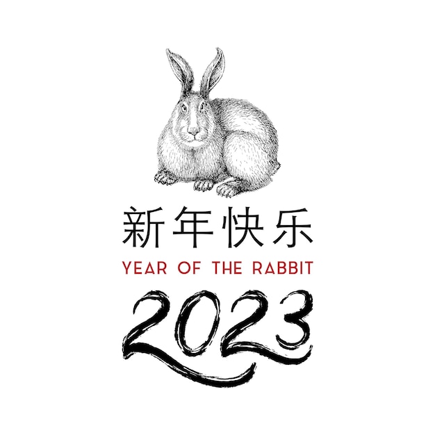 Happy chinese new year lettering with drawn rabbit