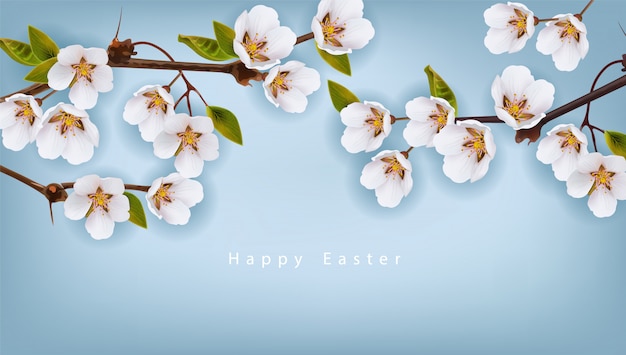 Happy Easter. Cherry flowers background