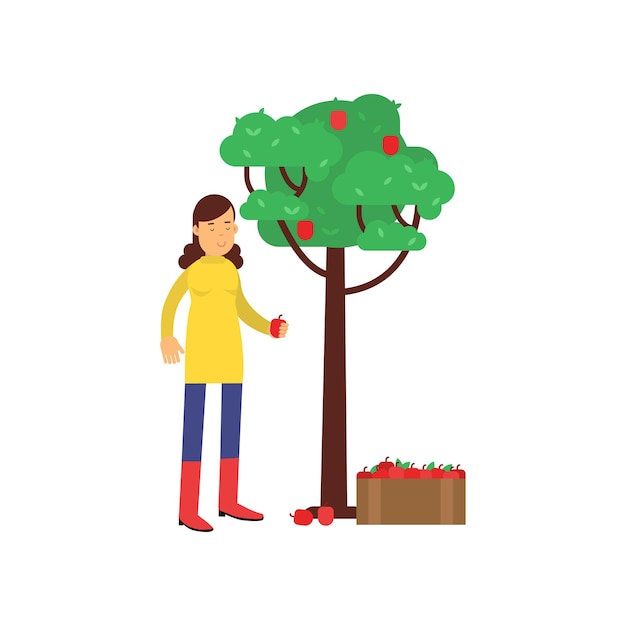 Happy farmer cartoon character in red rubber boots harvesting apples from the tree. Woman gardener at work. Fresh eco farm products. Agriculture concept. Flat vector illustration isolated on white.