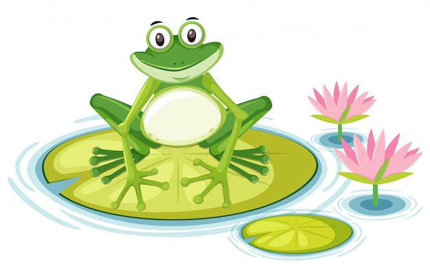 Happy frog on lily pad