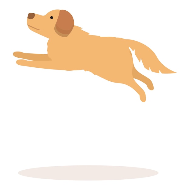 Happy golden retriever jumping in the air