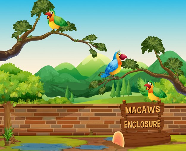 Vector happy macaws in a zoo