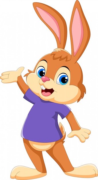 Happy rabbit cartoon