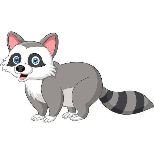 Happy raccoon cartoon isolated on white background