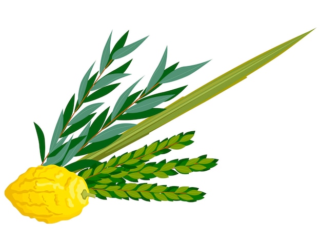 Happy Sukkot traditional symbols of herbs and spices of the etrog lulav Arava Hadas Vector