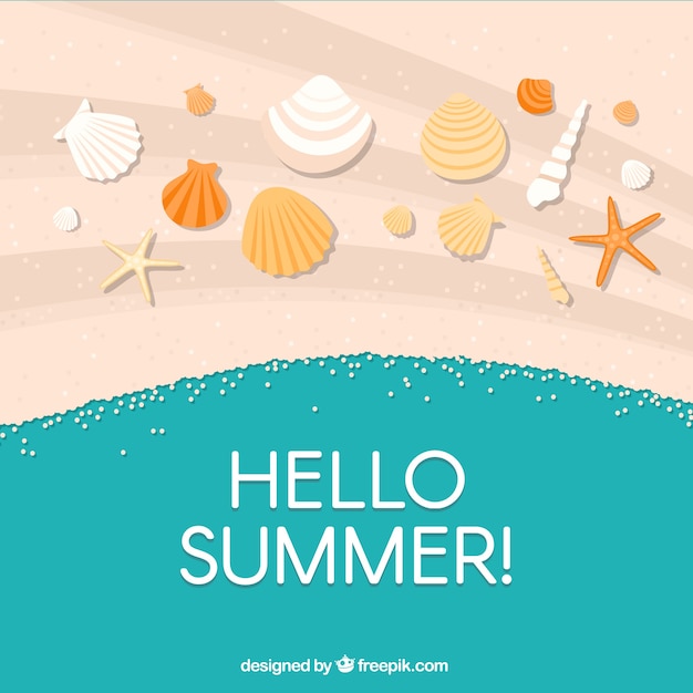 Happy summer background with shells in the sand