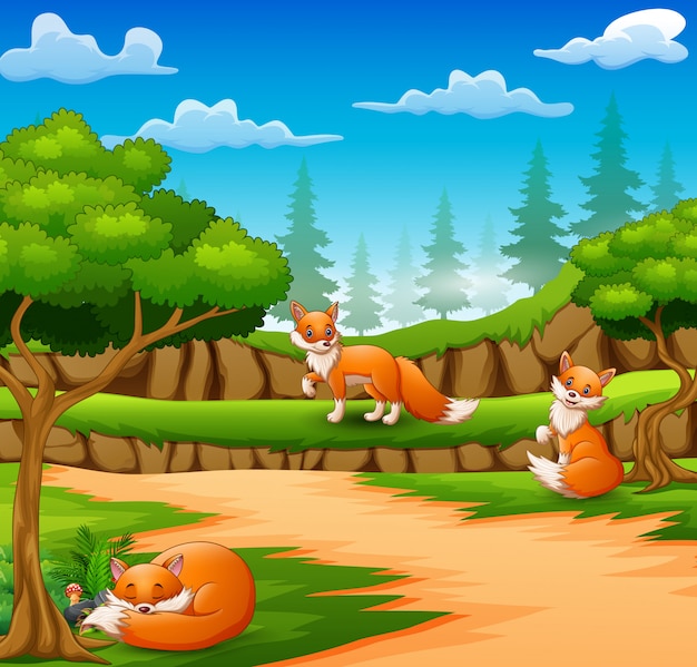 Happy three fox cartoon on nature scene