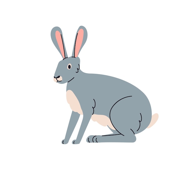 Hare, wild forest animal, herbivore. Lepus Europaeus, woods herbivorous mammal with long ears, fauna. Gray woodland bunny, jackrabbit sitting. Flat vector illustration isolated on white background