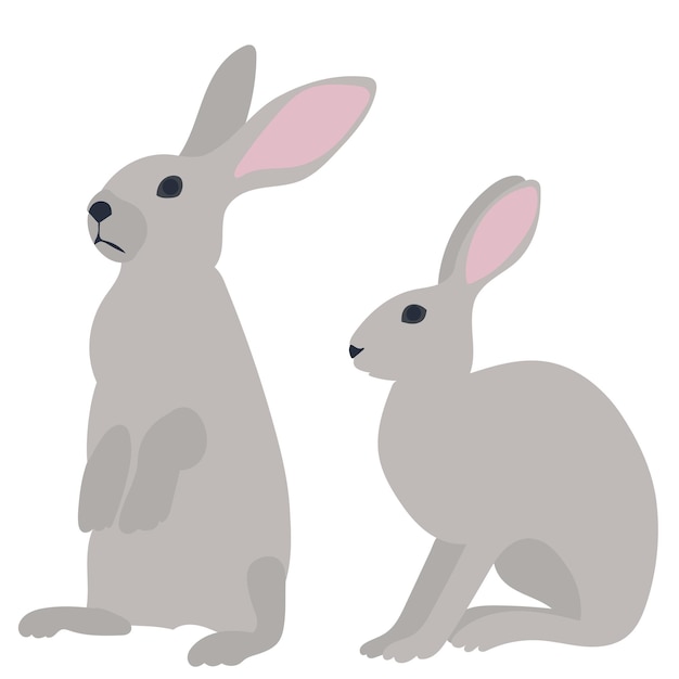 Hares, rabbits on a white background isolated, vector