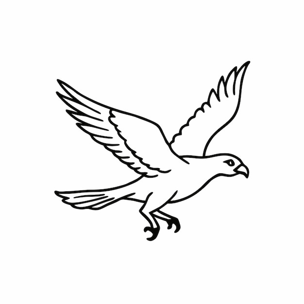 a harrier bird is jamping vector illustration line art