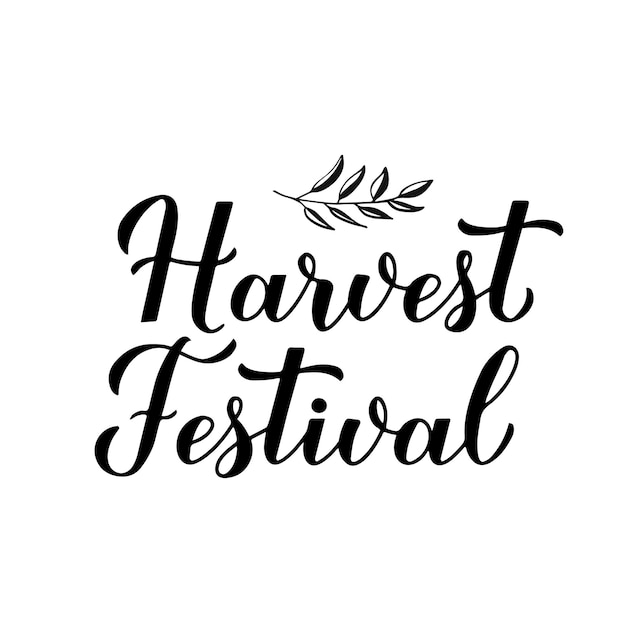 Harvest Festival calligraphy lettering isolated on white Vector template for banner typography poster flyer postcard sticker logo design etc