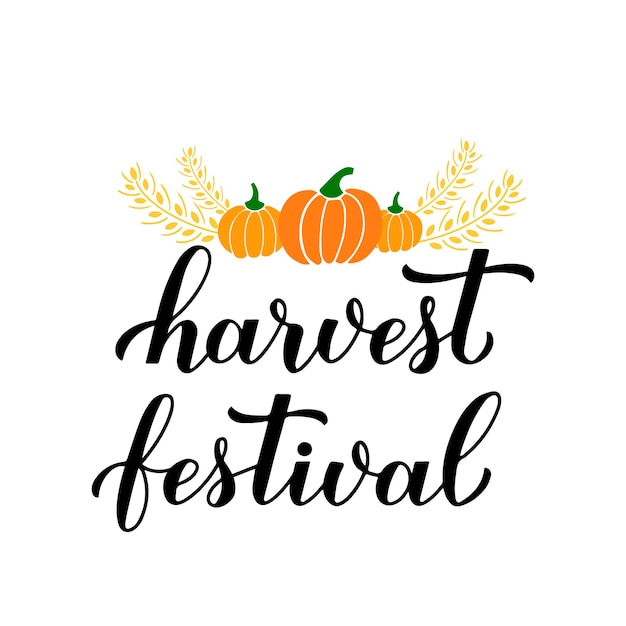 Harvest festival calligraphy lettering with hand drawn pumpkins and wheat ears isolated on white Vector template for banner typography poster flyer postcard sticker logo design etc