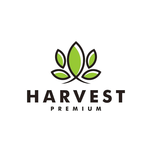 Harvest leaf logo design farm icon nature vector logotype