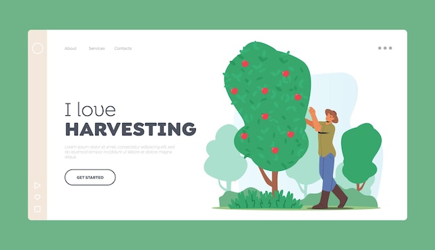 Harvesting Landing Page Template Man Farmer Character Pick Ripe Apple Fruits from Green Tree in Country Garden